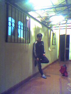 talibi